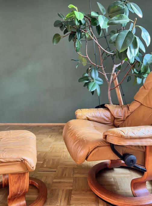Garten-ferienwohnung Seppi